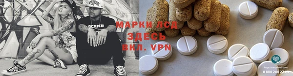 индика Армянск