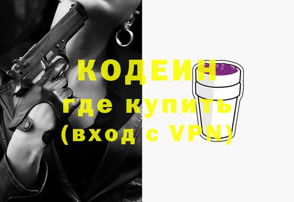 индика Армянск