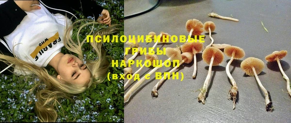 прущие крисы Аркадак