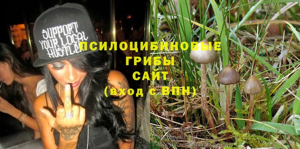 прущие крисы Аркадак