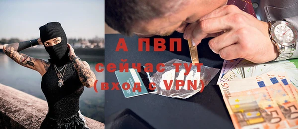 индика Армянск