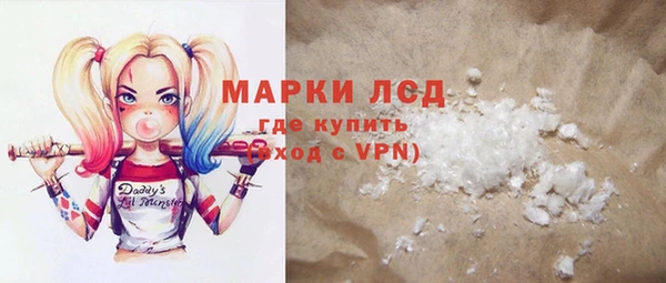 индика Армянск