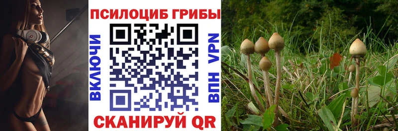 Псилоцибиновые грибы мухоморы  Суровикино 